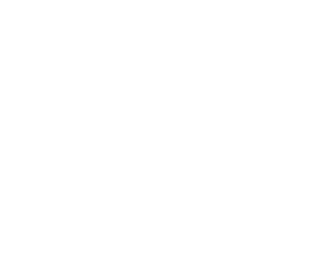 User Shield Icon